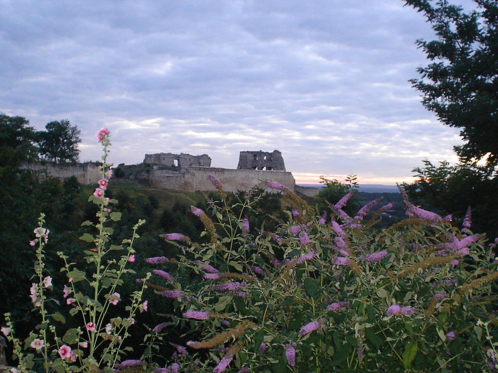 Chambres D'Hotes Sur La Courtine De Coucy Buitenkant foto